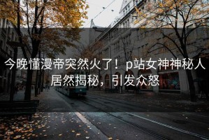 今晚懂漫帝突然火了！p站女神神秘人居然揭秘，引发众怒