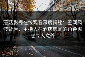 蘑菇影视在线观看深度揭秘：丑闻风波背后，主持人在酒店房间的角色彻底令人意外