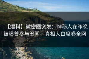 【爆料】微密圈突发：神秘人在昨晚被曝曾参与丑闻，真相大白席卷全网