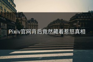 Pixiv官网背后竟然藏着惹怒真相