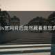 Pixiv官网背后竟然藏着惹怒真相