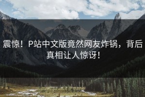 震惊！P站中文版竟然网友炸锅，背后真相让人惊讶！