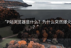 “P站浏览器是什么？为什么突然爆火？”
