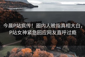 今晨P站疯传！圈内人被指真相大白，P站女神紧急回应网友直呼过瘾