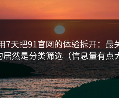 我用7天把91官网的体验拆开：最关键的居然是分类筛选（信息量有点大）