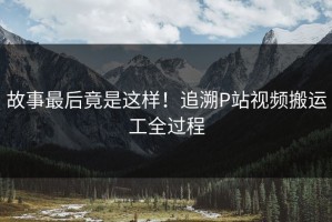 故事最后竟是这样！追溯P站视频搬运工全过程