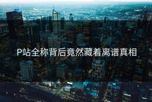 P站全称背后竟然藏着离谱真相
