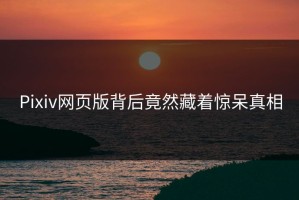 Pixiv网页版背后竟然藏着惊呆真相