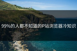 99%的人都不知道的P站浏览器冷知识