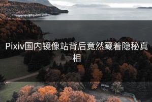 Pixiv国内镜像站背后竟然藏着隐秘真相