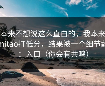 我本来不想说这么直白的，我本来想给mitao打低分，结果被一个细节翻盘：入口（你会有共鸣）