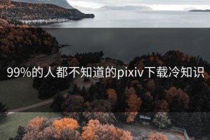 99%的人都不知道的pixiv下载冷知识