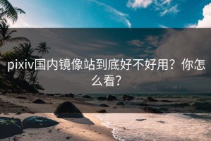 pixiv国内镜像站到底好不好用？你怎么看？