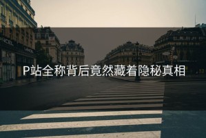 P站全称背后竟然藏着隐秘真相