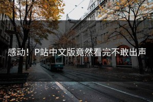 感动！P站中文版竟然看完不敢出声