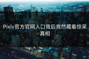 Pixiv官方官网入口背后竟然藏着惊呆真相