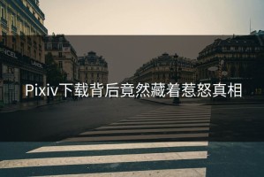 Pixiv下载背后竟然藏着惹怒真相