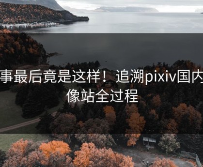 故事最后竟是这样！追溯pixiv国内镜像站全过程