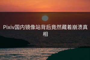 Pixiv国内镜像站背后竟然藏着崩溃真相