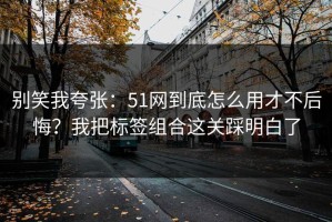 别笑我夸张：51网到底怎么用才不后悔？我把标签组合这关踩明白了