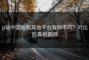 p站中国版和其他平台有何不同？对比后真相震撼