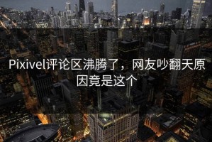 Pixivel评论区沸腾了，网友吵翻天原因竟是这个