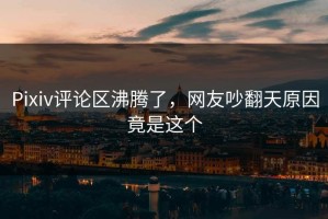 Pixiv评论区沸腾了，网友吵翻天原因竟是这个