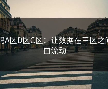 乱码A区D区C区：让数据在三区之间自由流动