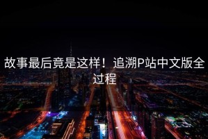 故事最后竟是这样！追溯P站中文版全过程