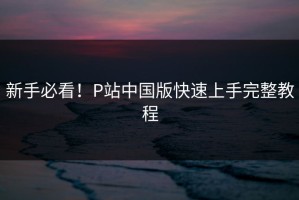 新手必看！P站中国版快速上手完整教程