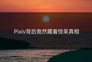 Pixiv背后竟然藏着惊呆真相