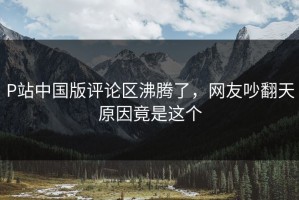 P站中国版评论区沸腾了，网友吵翻天原因竟是这个