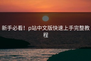 新手必看！p站中文版快速上手完整教程