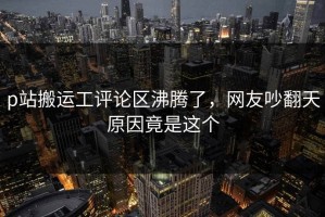 p站搬运工评论区沸腾了，网友吵翻天原因竟是这个