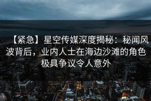 【紧急】星空传媒深度揭秘：秘闻风波背后，业内人士在海边沙滩的角色极具争议令人意外