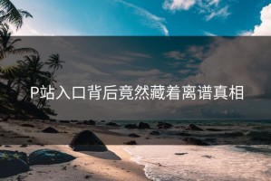 P站入口背后竟然藏着离谱真相