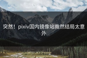 突然！pixiv国内镜像站竟然结局太意外