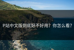 P站中文版到底好不好用？你怎么看？