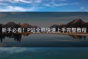 新手必看！P站全称快速上手完整教程