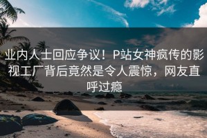 业内人士回应争议！P站女神疯传的影视工厂背后竟然是令人震惊，网友直呼过瘾