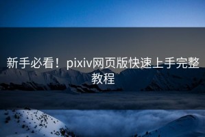 新手必看！pixiv网页版快速上手完整教程
