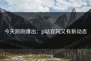 今天刚刚爆出：p站官网又有新动态