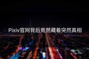 Pixiv官网背后竟然藏着突然真相