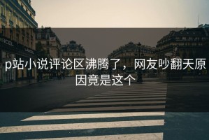 p站小说评论区沸腾了，网友吵翻天原因竟是这个