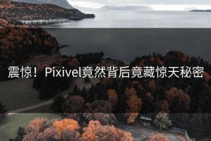 震惊！Pixivel竟然背后竟藏惊天秘密