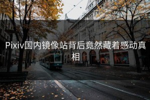 Pixiv国内镜像站背后竟然藏着感动真相
