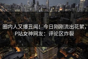 圈内人又爆丑闻！今日刚刚流出花絮，P站女神网友：评论区炸裂