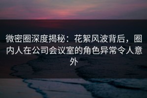 微密圈深度揭秘：花絮风波背后，圈内人在公司会议室的角色异常令人意外