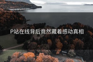 P站在线背后竟然藏着感动真相