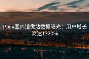 Pixiv国内镜像站数据曝光：用户增长高达1320%